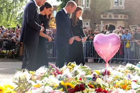 Prince William ripped on social media, Prince Harry praised for treatment of Meghan Markle in viral