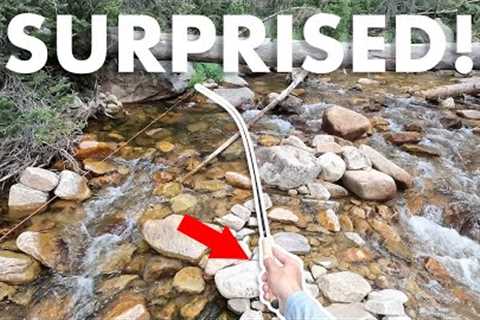I Like This Cheap Rod More Than I Thought I Would (Tenkara Fly Fishing)