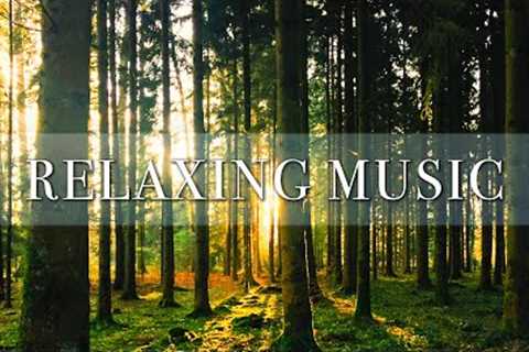 Great Mind Relaxing Music Without Words | Soft Music Helps Reduce Stress Very Effectively