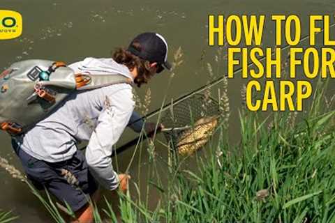 How To Fly Fish For Carp S5 E11