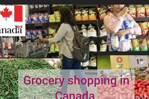 Grocery shopping in Canada 🇨🇦/ Dollarama and FreshCo /best grocery stores in Canada for students