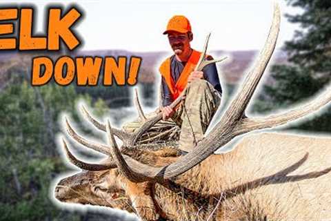ELK EVERYWHERE!! (Last Day Success)