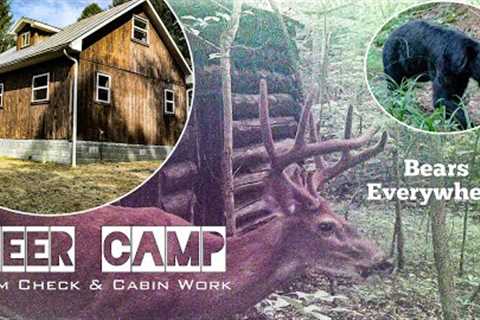 DEER CAMP Trail Cam Check | Bears Everywhere! | SBO LIVE MINISODE #122
