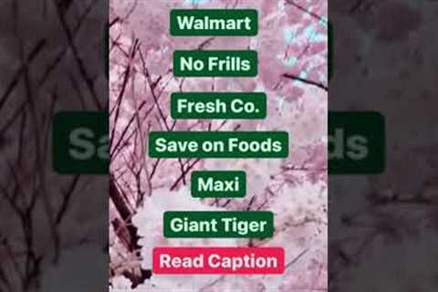 Grocery stores in Canada | Walmart Canada | Costco haul Canada |Affordable grocery stores in Canada