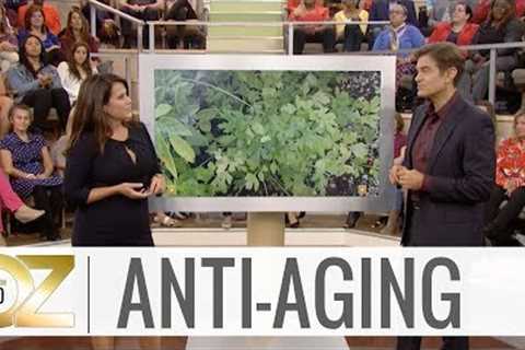 Anti-Aging Foods That Can Prevent Wrinkles and Help Ward Off the Effects of Aging