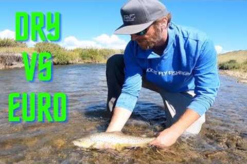 DRY VS EURO - fly fishing 1v1