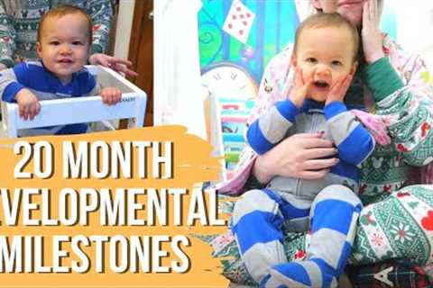 20 MONTH DEVELOPMENTAL MILESTONES &amp; ACTIVITIES | Using the Ages &amp; Stages Questionnaire for..