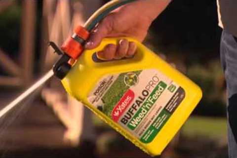 The Garden Gurus - Buffalo Lawn Care Tips