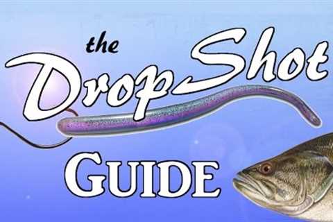 DROPSHOT Guide - The Most Effective Rig in Bass Fishing