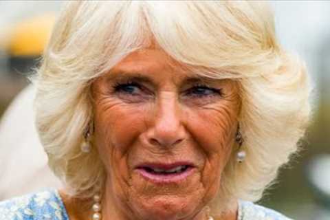 Inside William And Harry's Complicated Relationship With Queen Consort Camilla Parker Bowles