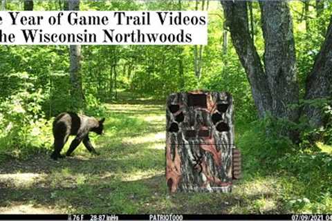 Chequamegon-Nicolet National Forest (2021) - Game Trail Camera Videos