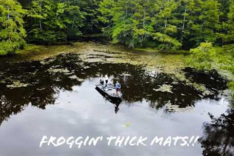 Froggin' THICK GRASS For BIG BASS On a SHALLOW Lake!! || Summer Bass Fishing