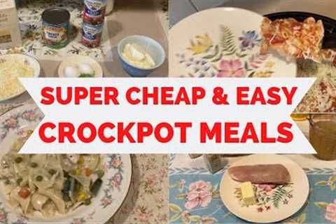 CRCOKPOT MEALS! SUPER CHEAP AND EASY! Creamy Chicken &amp; Noodles! Baked Ziti!