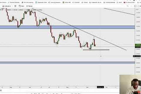 HOW TO TRADE FOREX LIKE A PRO - Trader Talk Episode 33