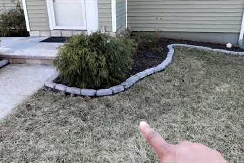 3 Spring Lawn Care Tips To Do Now| 2022 Yard Update Overview