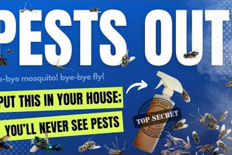 Eliminate Flies and Mosquitos For Good Using This Household Item