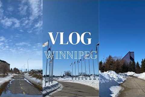 Outlet collection 🛍 | Grocery shopping 🛒 | lots of junk food 🍔🍟| Vlog in Winnipeg • Canada
