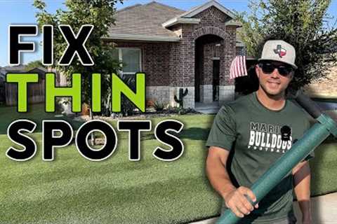 Thinking of Overseeding Your Bermuda Grass? DO THIS INSTEAD.