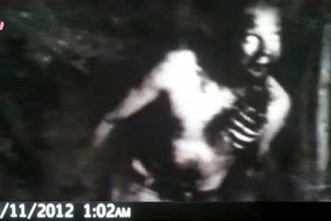 11 Trail Camera Photos That Cannot Be Explained