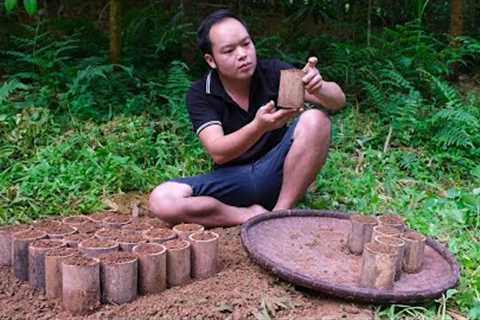 5 YEAR LIVING OFF GRID, sowing jackfruit seeds in bamboo tubes. Primitive Skills (ep184)