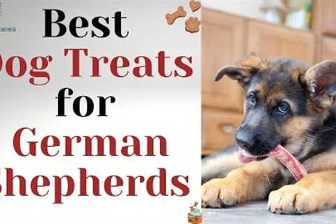 Best Dog Treats For German Shepherds