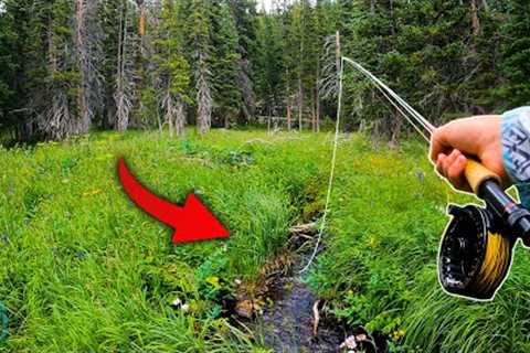 Fly Fishing the SMALLEST CREEK that would hold trout (BIG Surprise Catch)