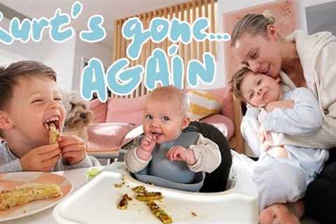LIFE UPDATES! Fitness Routine, Baby Led Weaning &amp; HELP ME with my house! VLOG