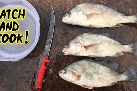 Catching and Cooking a TRASH Fish?!?!?!? Interesting Results!