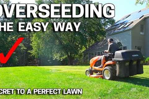 How to OVERSEED Your Lawn in Fall the EASY WAY