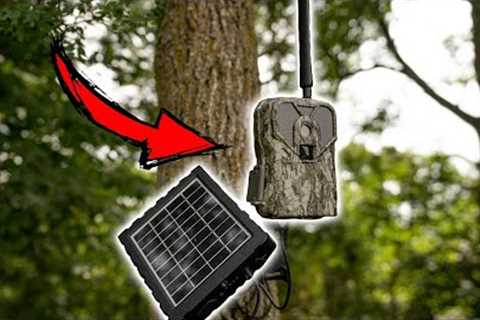 Trail Camera Mistakes That You Need To Avoid When Hunting Mature Bucks