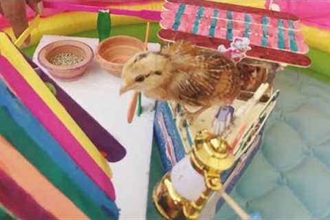 News Chicks Transfer In Pool House||@Boys Hobbies And Creations