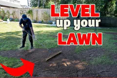 Fixing a TERRIBLE lawn with lots of holes - WORST BUMPY LAWN YET