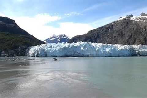 Alaska Cruise 2019 - Golden Princess - Princess Cruises - Anchorage to Vancouver