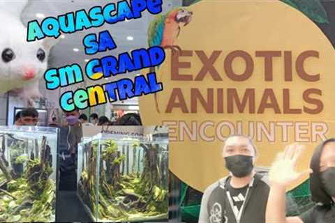 Ang gagnda ng Aquascape sa Sm Grand Central!