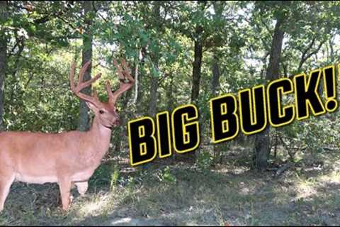 Mock Scrapes, Water Holes and Trail Camera Strategies! (Prepping for Deer Season)