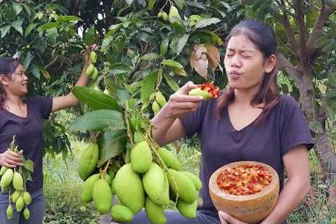 Survival skill in forest: Sour green mango with Hot salt chili - So mouth watering food