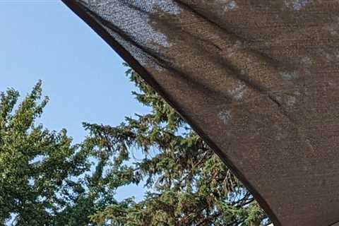Coolaroo Shade sail creates a tiny oasis in your backyard