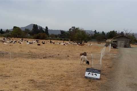 Ride Some Dirt at Coyote Creek