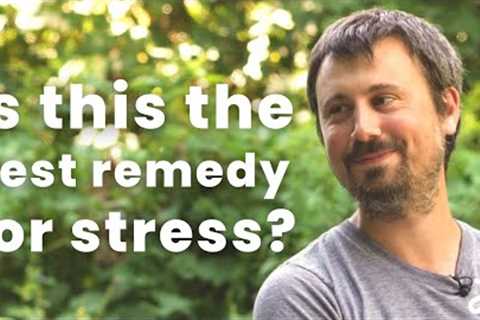 Gardening and mental health | Digging in with gardenstead Ep. 4