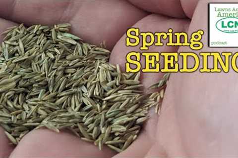 Every Reason NOT to SEED Your Lawn In Spring