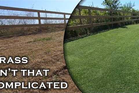 Keep it simple &amp; fun, and you can fix an ugly lawn in no time!