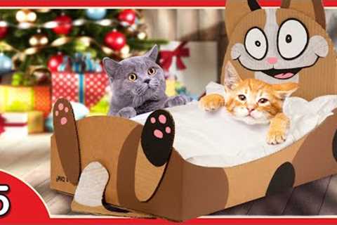 DIY Cat Bed from Cardboard | Christmas Gift Ideas &amp; Craft Projects ⭐ Box Xmas #5