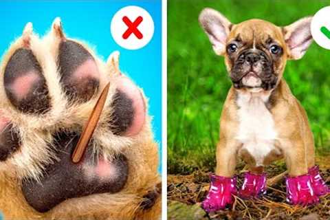 BEST GADGETS AND HACKS FOR PET OWNERS