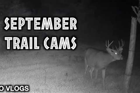 Bailey Farm Trail Cams Early September 2022