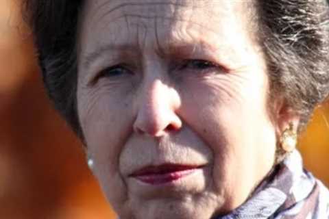 The Divorce of Princess Anne: Now What?