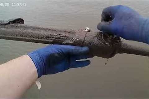 Rocket caught Magnet Fishing Lake El Reno