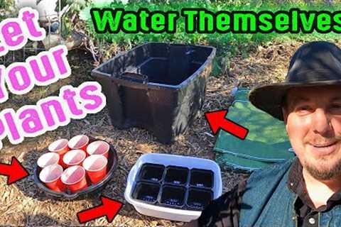 This Easy Water Wicking Gardening Hack Will Change The Way You Garden Forever!