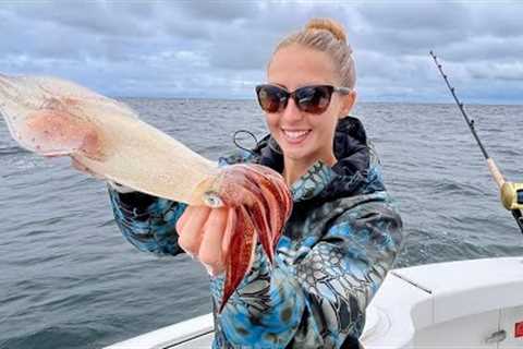 Catching Squid Off The Dock! **No Boat Needed**  (catch, clean &amp; cook)