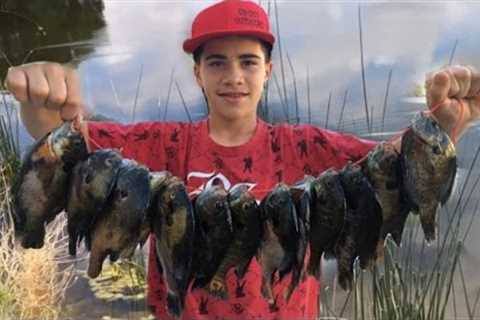 Bass And Bluegill Fishing: Kids Catch Over 50 Fish In A Few Hours