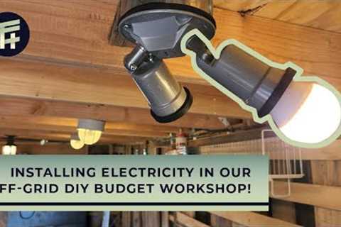 DIY Off-Grid Solar Electrical Shed + Bonus organization Tips! | Budget Pallet Workshop Build Ep 7
